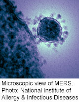 1st MERS Case Reported in U.S.