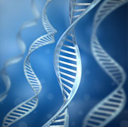 New Gene Variants for Prostate Cancer Identified