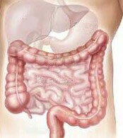 Colon Cancer on the Rise for U.S. Adults Under 50