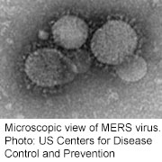 Synthetic MERS Vaccine Works in Animal Tests